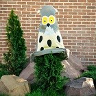 Колпаки для укрытия растений на зиму Колпаки для укрытия растений на зиму