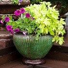 Вазоны для цветов Вазоны для цветов
