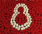 Подарки для женщин на 8 марта Подарки для женщин на 8 марта