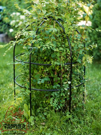 опора для смородины