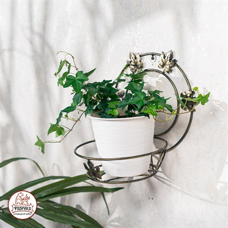 Подставка для цветов 15-101 настенная - фото 32988