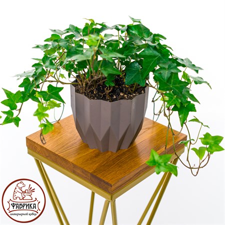 для растений