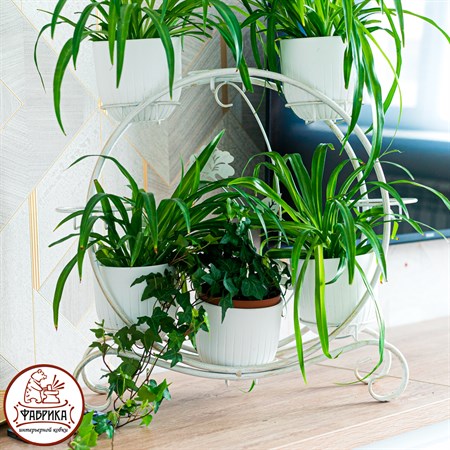 для 8 растений