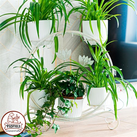 подставка на восемь растений