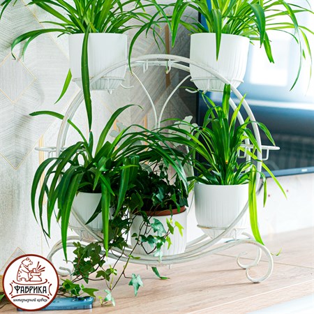 подставка для восьми растений