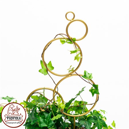 шпалера для растений