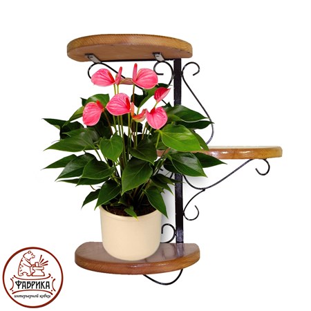 Кованая подставка для цветов 13-203