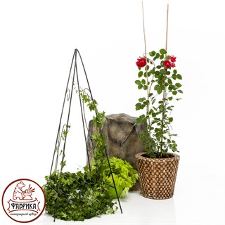 Шпалера для растений 