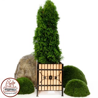 Кадка для цветов