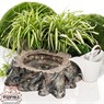 Садовая сантехника