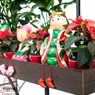 Фигура для сада U09023