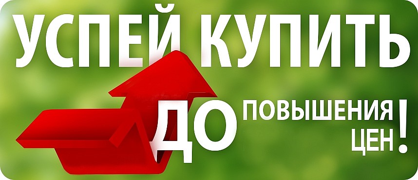 Успей сделать заказ до повышения цен